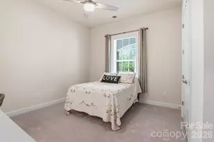900 Raffaelo View, Mount Holly, NC 28120 - Photo 23