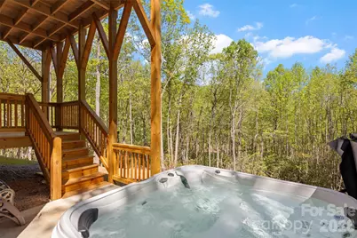 233 Arcadia Falls Way, Black Mountain, NC 28711 - Photo 3