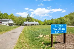 233 Arcadia Fls Wy, Black Mountain, NC 28711 - Photo 39