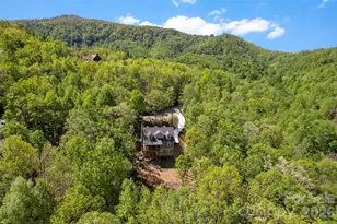 233 Arcadia Fls Wy, Black Mountain, NC 28711 - Photo 31
