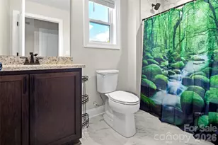 233 Arcadia Fls Wy, Black Mountain, NC 28711 - Photo 29