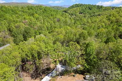 233 Arcadia Falls Way, Black Mountain, NC 28711 - Photo 5