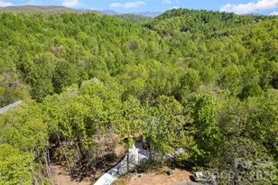 233 Arcadia Fls Wy, Black Mountain, NC 28711 - Photo 5