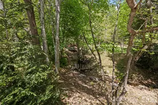 233 Arcadia Fls Wy, Black Mountain, NC 28711 - Photo 43