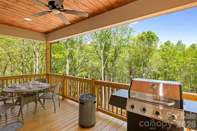 233 Arcadia Falls Way, Black Mountain, NC 28711 - Photo 15