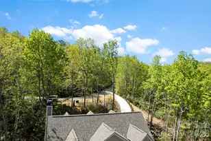 233 Arcadia Fls Wy, Black Mountain, NC 28711 - Photo 35
