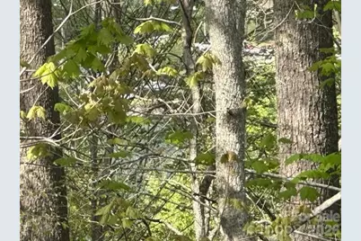 134 Mossy Ridge Road, Cullowhee, NC 28723 - Photo 17