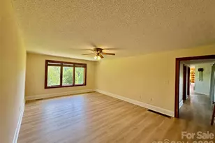 377 Upper Grassy Branch Rd, Asheville, NC 28805 - Photo 15