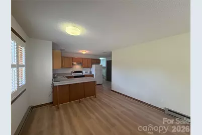 377 Upper Grassy Branch Road, Asheville, NC 28805 - Photo 23