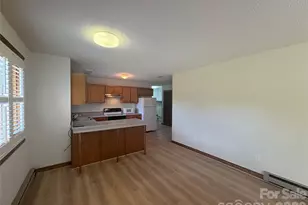 377 Upper Grassy Branch Rd, Asheville, NC 28805 - Photo 23