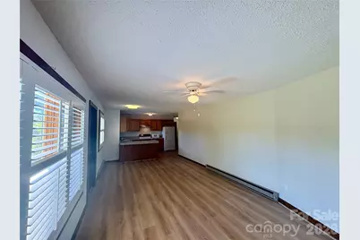 377 Upper Grassy Branch Road, Asheville, NC 28805 - Photo 25