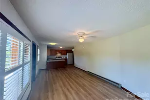 377 Upper Grassy Branch Rd, Asheville, NC 28805 - Photo 25