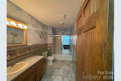 377 Upper Grassy Branch Road, Asheville, NC 28805 - Photo 27
