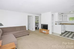 51 & 59 Gudger Rd, Candler, NC 28715 - Photo 35