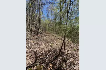 0 Crackin Chestnut Lane, Sylva, NC 28779 - Photo 5
