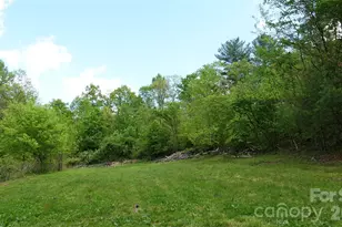 3151 Lump Town Rd, Marshall, NC 28753 - Photo 47