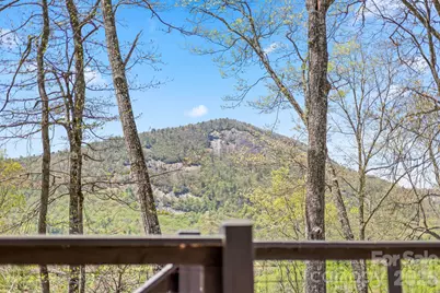 261 Rock Face Trail #LT 10c, Highlands, NC 28741 - Photo 25