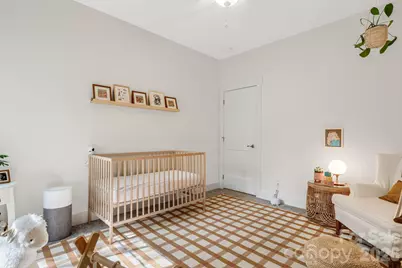 345 Osborne Road, Brevard, NC 28712 - Photo 21