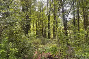 45 Briggs Rd, Asheville, NC 28805 - Photo 13