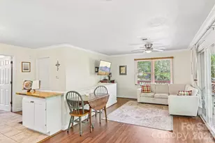 34 Lindsey Hill Ln, Zirconia, NC 28790 - Photo 11