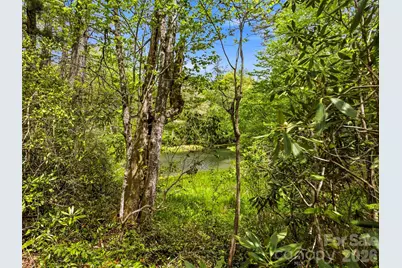 348 Surrey Lane, Brevard, NC 28712 - Photo 43