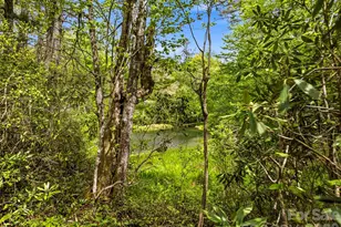 348 Surrey Ln, Brevard, NC 28712 - Photo 43