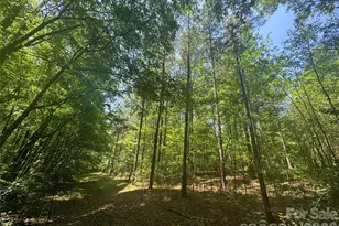 1011 Ratchford Rd, York, SC 29745 - Photo 33