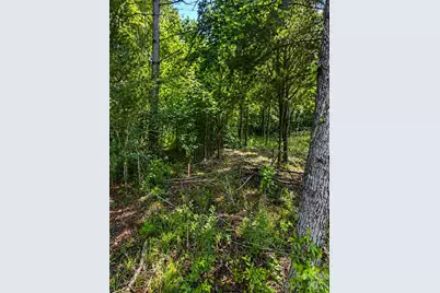 468 Porter Road, Rock Hill, SC 29730 - Photo 3