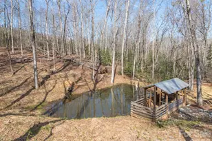 220 Mt Harmony Church Rd, Lawndale, NC 28090 - Photo 35