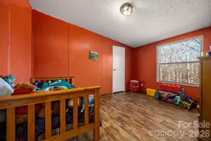 220 Mt Harmony Church Rd, Lawndale, NC 28090 - Photo 19