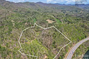 647 Indian Springs Rd, Clyde, NC 28721 - Photo 3