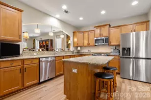 2009 Maned Goose Ct, Fort Mill, SC 29707 - Photo 7