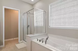 2009 Maned Goose Ct, Fort Mill, SC 29707 - Photo 19