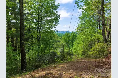 209 Ivy Hill Road, Hendersonville, NC 28792 - Photo 33