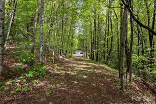 209 Ivy Hill Rd, Hendersonville, NC 28792 - Photo 39