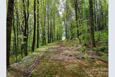 209 Ivy Hill Road, Hendersonville, NC 28792 - Photo 37