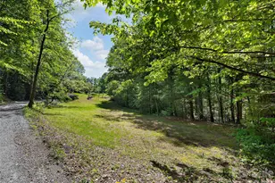 209 Ivy Hill Rd, Hendersonville, NC 28792 - Photo 35