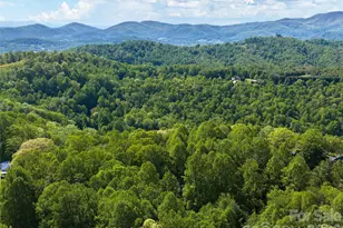 209 Ivy Hill Rd, Hendersonville, NC 28792 - Photo 43