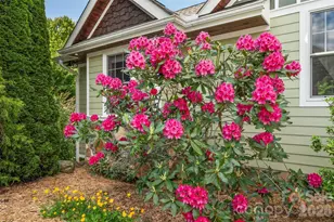 136 Mystic Way, Canton, NC 28716 - Photo 45