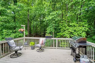 10501 Olde Irongate Ln, Mint Hill, NC 28227 - Photo 33