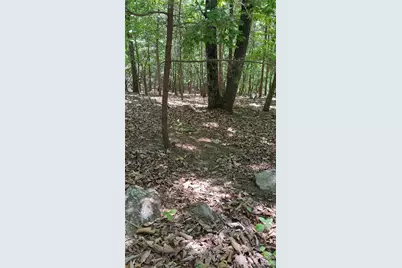11 Summit Parkway #11, Bostic, NC 28018 - Photo 13