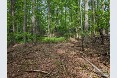 00 Hosta Lane, Hendersonville, NC 28739 - Photo 17