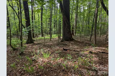 00 Hosta Lane, Hendersonville, NC 28739 - Photo 13