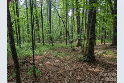 00 Hosta Lane, Hendersonville, NC 28739 - Photo 11