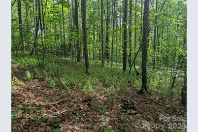 00 Hosta Lane, Hendersonville, NC 28739 - Photo 15