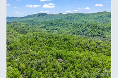 565 Pinewood Knoll Drive, Hendersonville, NC 28739 - Photo 41