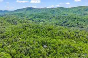 565 Pinewood Knoll Dr, Hendersonville, NC 28739 - Photo 41