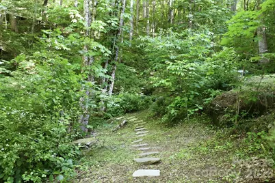 98 Sparkling Springs Road, Fairview, NC 28730 - Photo 39