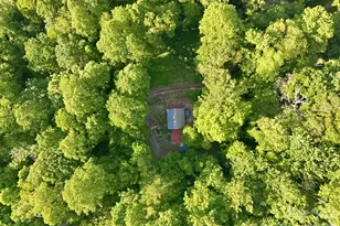 98 Sparkling Springs Rd, Fairview, NC 28730 - Photo 47