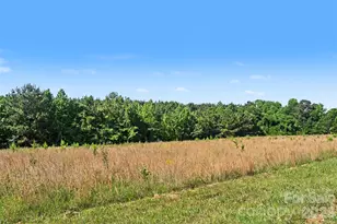 1013 Caldwell St, Statesville, NC 28677 - Photo 25